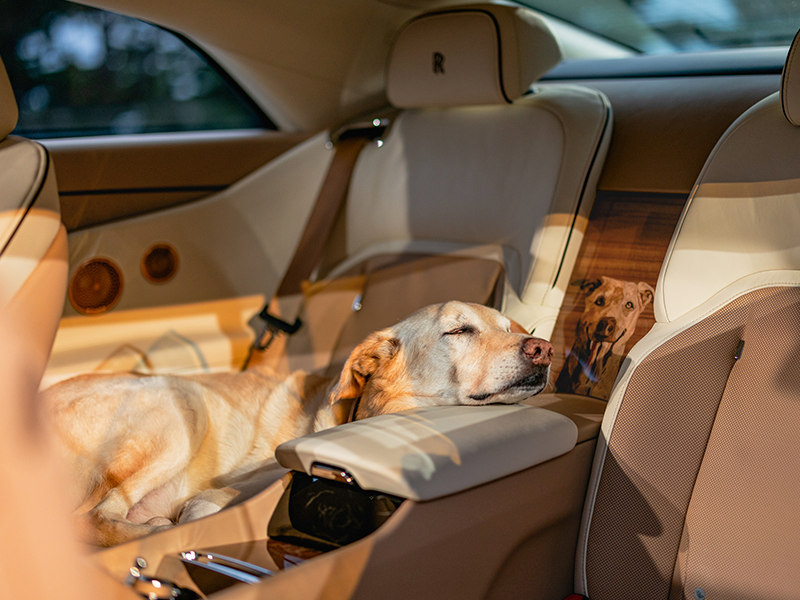 رولز-رويس سبيكتر بيلي: سيارة فاخرة حصرية تُكرّم صديق الإنسان المخلص! سيارات حصرية سيارات فاخرة سيارات فخمة سيارات كهربائية فاخرة سيارات كهربائية فخمة سيارات كهربائية حصرية رولز-رويس 2025 رولز-رويس 2026 سيارات رولز-رويس سيارة رولز رويس كهربائية سيارات مصممة حسب الطلب سيارات مخصصة سيارات بريطانية سيارات انجليزية سيارات توب جير سيارات كهربائية مدى طويل رولز-رويس سبيكتر بيلي Rolls-Royce Spectre Billy: An Exclusive Luxury Car Honoring Man's Best Friend! Exclusive Cars Luxury Cars Luxury Cars Luxury Electric Cars Luxury Electric Cars Exclusive Electric Cars Rolls-Royce 2025 Rolls-Royce 2026 Rolls-Royce Cars Electric Rolls-Royce Bespoke Cars Custom Cars British Cars English Cars Top Gear Cars Long-Range Electric Cars Rolls-Royce Spectre Billy