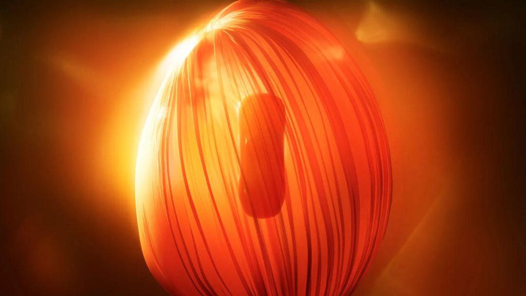 تويوتا تويوتا سنشري سينشري كوبيه سيارات يابانية فخامة يابانية سيارات اختبارية معرض سيارات ياباني تويوتا الفاخرة تصميم سيارات كوبيه فاخرة أخبار سيارات تويوتا 2025 سيارات محدودة الإصدار Toyota Toyota Century Century Coupe Japanese cars Luxury cars Concept car Japanese Motor Show Toyota luxury Car design Luxury coupe Car news Toyota 2025 Limited edition cars