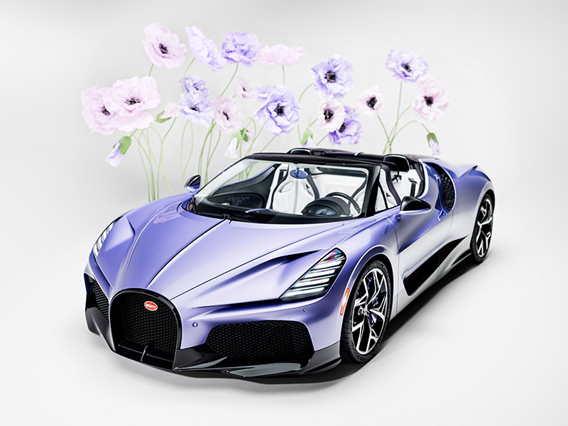 بوجاتي W16 ميسترال كارولين بتصميم خارجي بنفسجي فاخر تفاصيل الطلاء المستوحى من الخزامى في سيارة بوغاتي بوغاتي W16 ميسترال كارولين الجناح الخلفي المرسوم يدوياً في بوغاتي ميسترال مقصورة داخلية فاخرة في Bugatti Mistral Caroline تطريز داخلي مستوحى من الأزهار في بوغاتي ألياف الكربون البنفسجية في هيكل ميسترال تصميم بوجاتي ميسترال المكشوفة الفريدة تفاصيل شعار الفيل الراقص داخل بوغاتي سوبركارز سيارات فاخرة سيارات فخمة سيارات فرنسية سيارات خارقة سيارات سوبر رياضية سيارات سوبر سبورت سيارات سبورت سيارات رياضية سوبركارز فرنسية أسرع سوبركار أسرع سيارة خارقة Bugatti W16 Mistral Caroline with a luxurious purple exterior Tulip-inspired paint details on the Bugatti Bugatti W16 Mistral Caroline Hand-painted rear wing on the Bugatti Mistral Luxurious interior on the Bugatti Mistral Caroline Floral-inspired interior stitching on the Bugatti Purple carbon fiber on the Mistral's body Unique design of the Bugatti Mistral convertible Details of the dancing elephant logo inside the Bugatti Supercars Luxury cars Luxury cars French cars Supercars Supersport cars Sport cars Sports cars French supercars Fastest supercar Fastest supercar